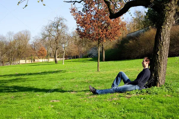 imagen Bienestar Total